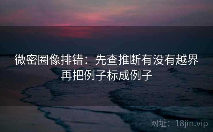 微密圈像排错：先查推断有没有越界再把例子标成例子