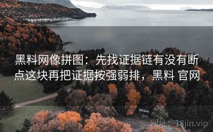黑料网像拼图：先找证据链有没有断点这块再把证据按强弱排，黑料 官网